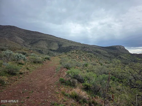a view of a dry yard with mountains in the background