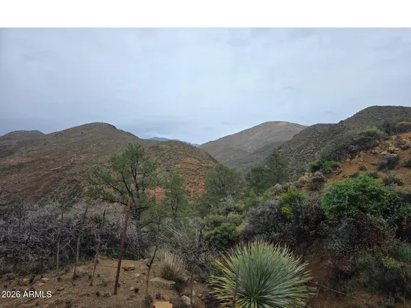a view of a dry yard with mountains in the background
