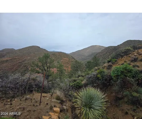 a view of a mountain in the distance