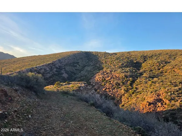 a view of a field with an ocean