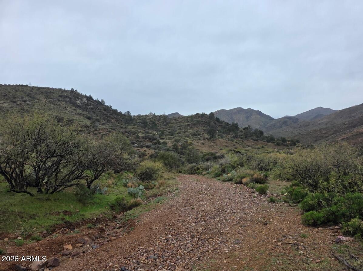 158 South Az State Highway Winkelman, AZ 85192 - Photo 28 of 30 a view of a mountain range with trees in the background