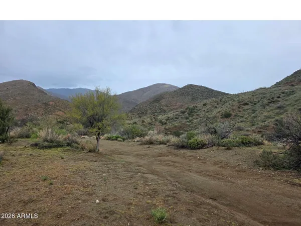 a view of a mountain range with trees in the background