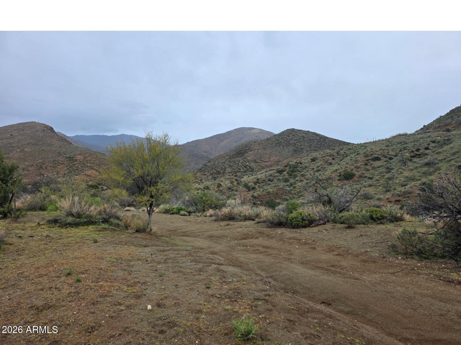 158 South Az State Highway Winkelman, AZ 85192 - Photo 30 of 30 a view of a mountain range with trees in the background