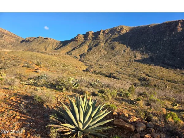 a view of a big yard with mountain