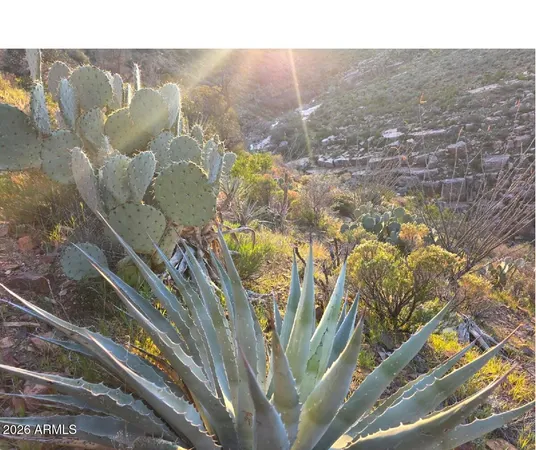 a view of outdoor space and garden