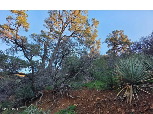 a view of a house with a tree