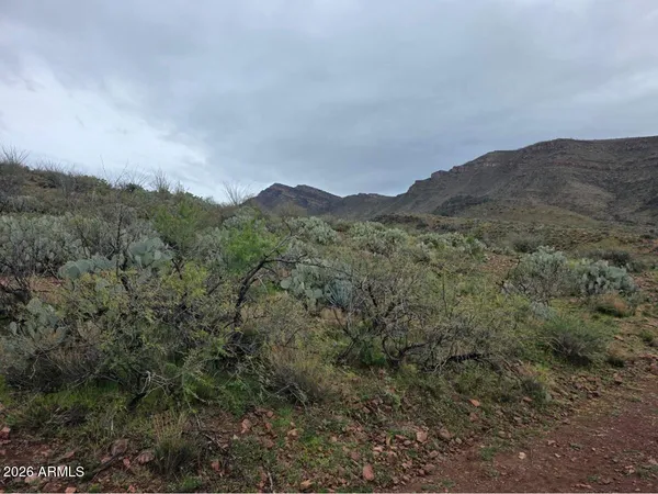 a view of a mountain range with lush green forest