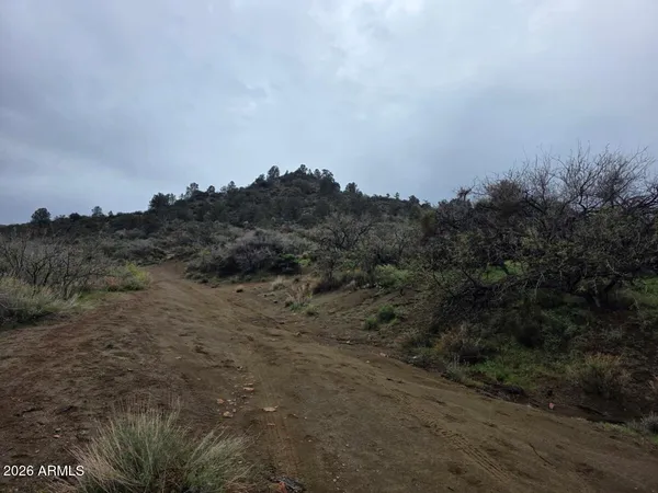 a view of a field of grass and trees