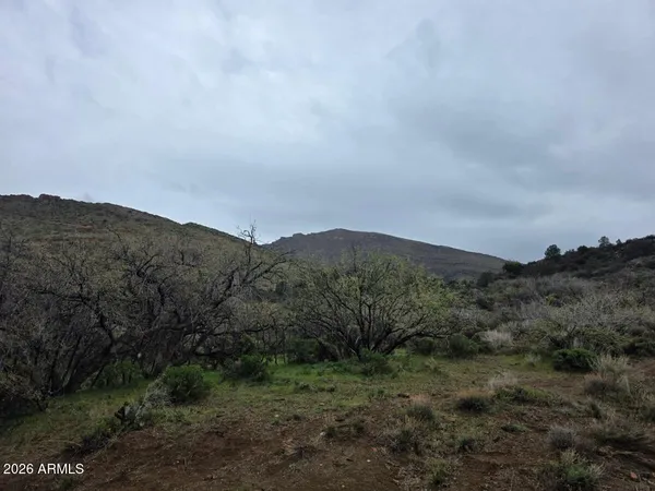 a view of a dry field with mountains in the background