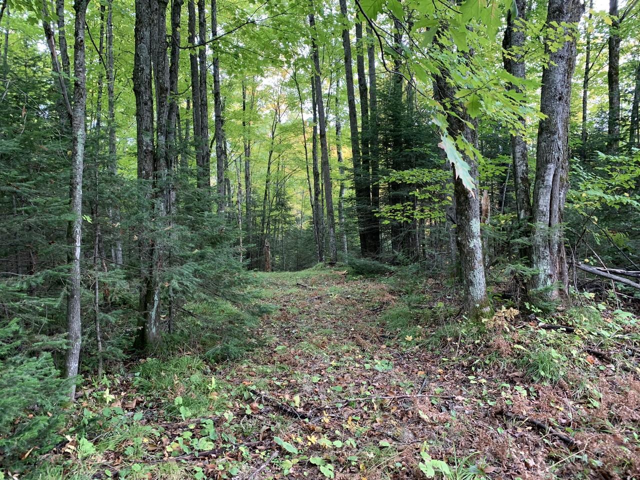 On On Cth D Sugar Camp Rhinelander, WI 54501 - Photo 1 of 12 Gallery Image 1