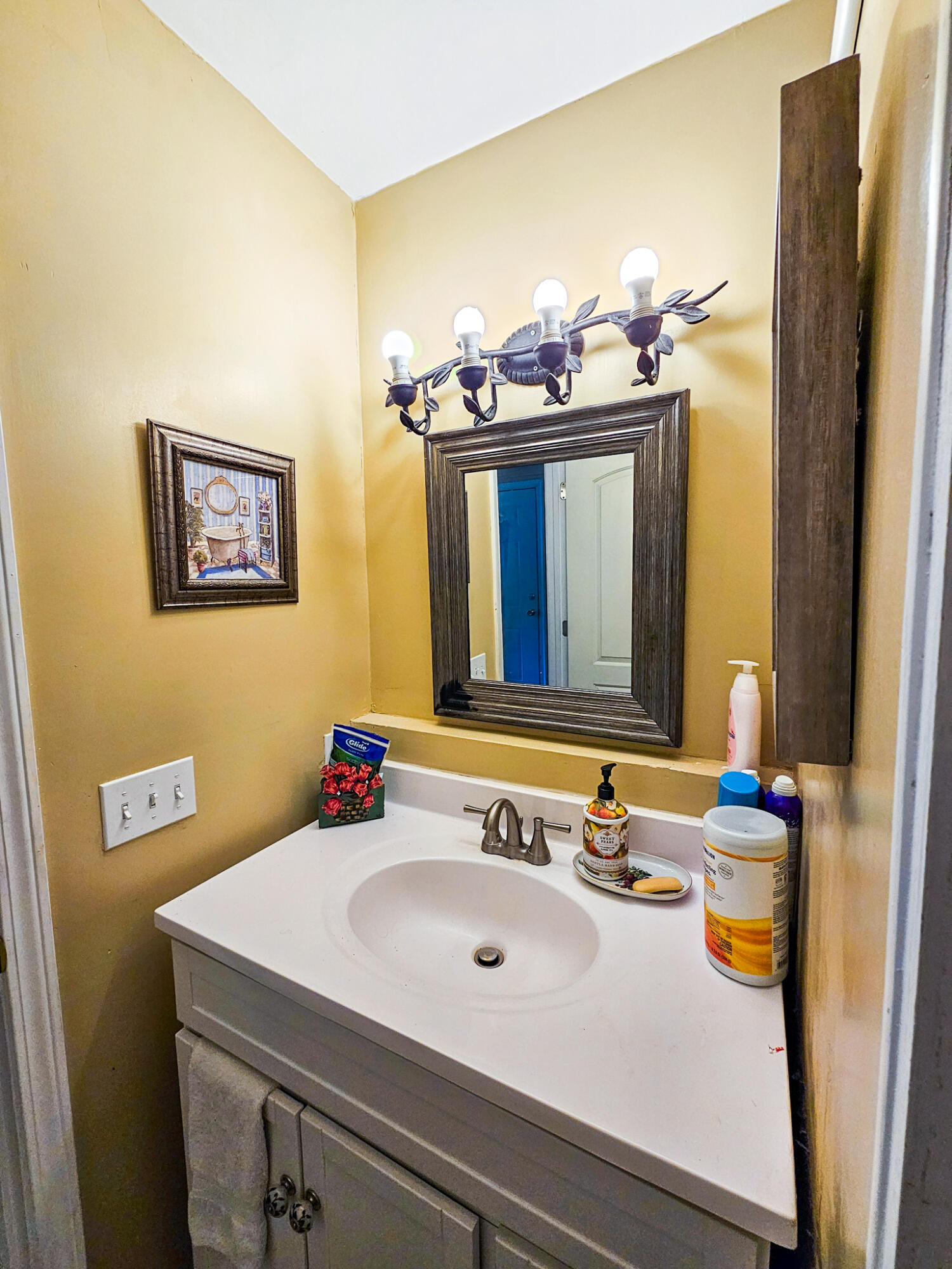 718 Azalea Drive Walterboro, SC 29488 - Photo 23 of 34 20260413_111115