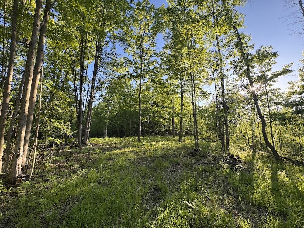 Vl Melcher Road Prescott, MI 48756 - Photo 12 of 65 11