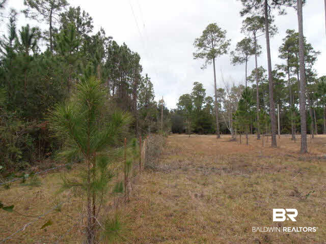 29409 Archie Road Elberta, AL 36530 - Photo 10 of 20 West Fence Line