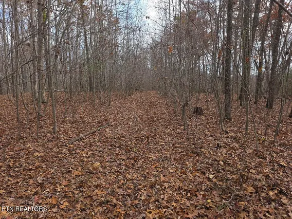 $450,000 | Jr Cox Road, Lancing, TN 37770