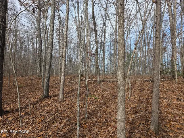 $450,000 | Jr Cox Road, Lancing, TN 37770