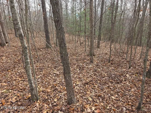 $450,000 | Jr Cox Road, Lancing, TN 37770