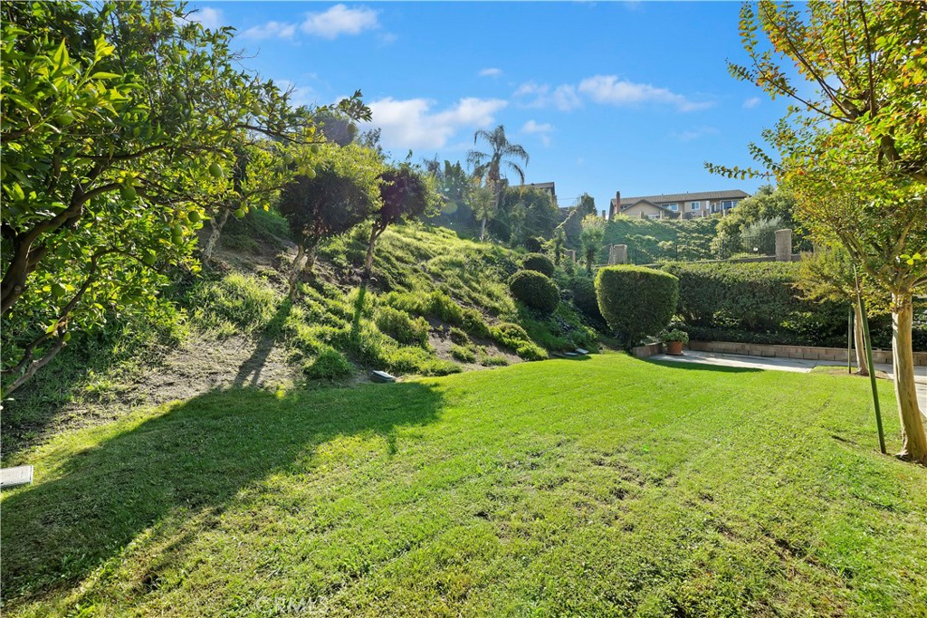1440 Trenton Drive Riverside, CA 92506 - Photo 41 of 52 a view of a garden with a tree