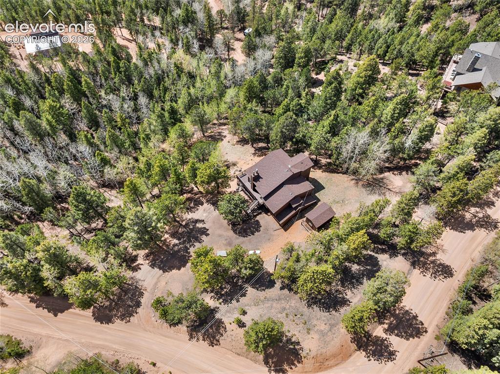 265 Homestead Road Divide, CO 80814 - Photo 5 of 50 True mountain setting
