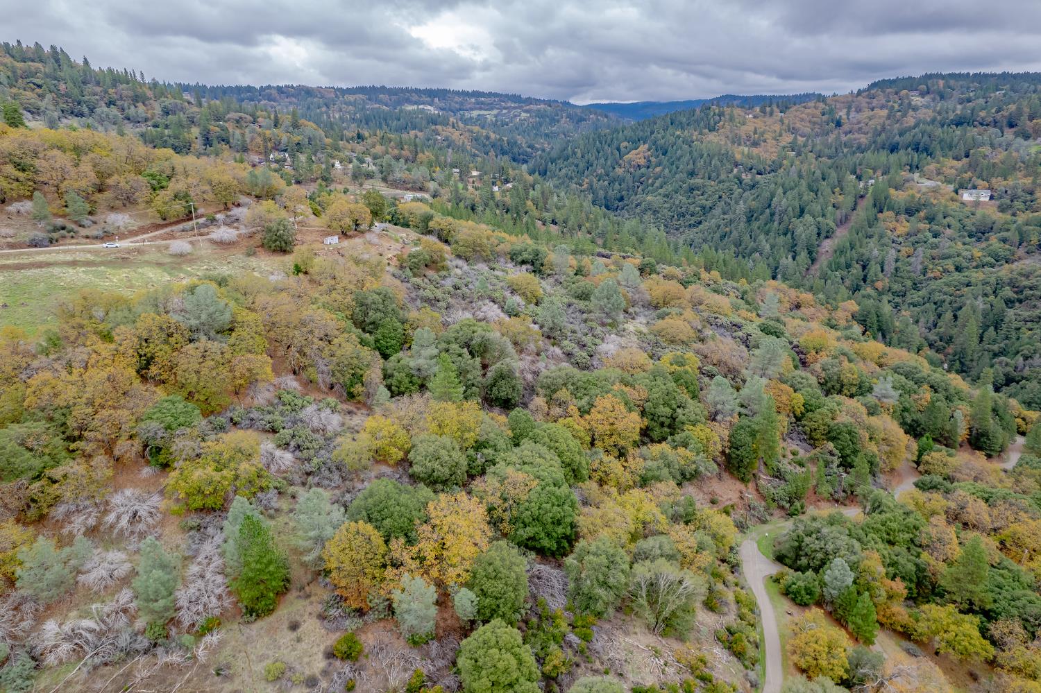 3841 Braden Road Camino, CA 95709 - Photo 13 of 44 a view of a field with a tree in the background