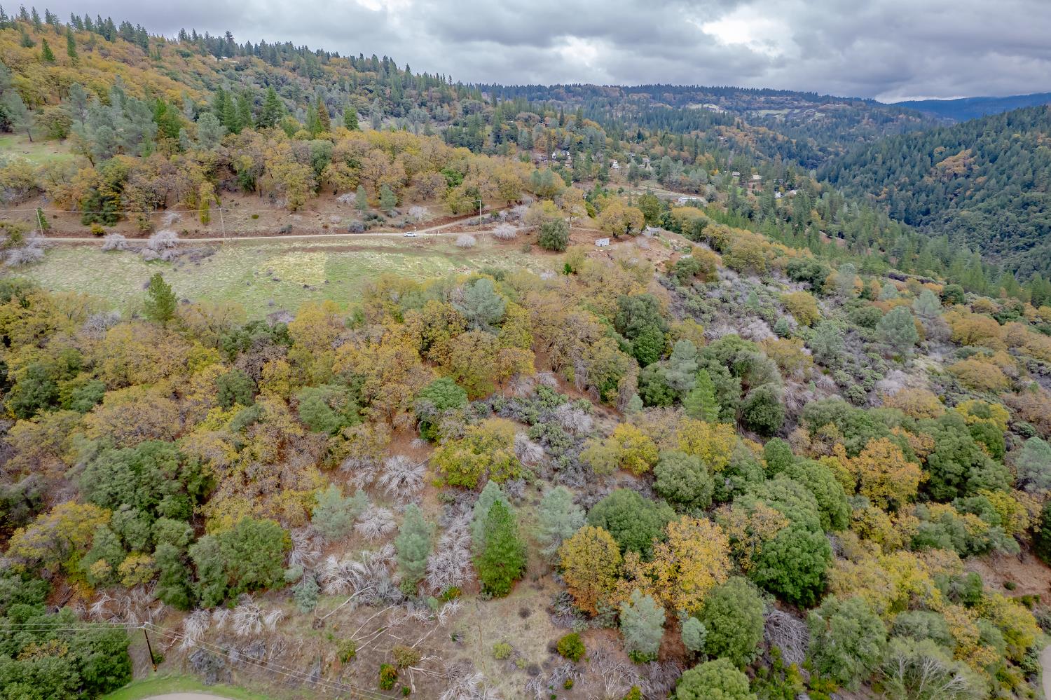 3841 Braden Road Camino, CA 95709 - Photo 14 of 44 a view of a field of grass and trees