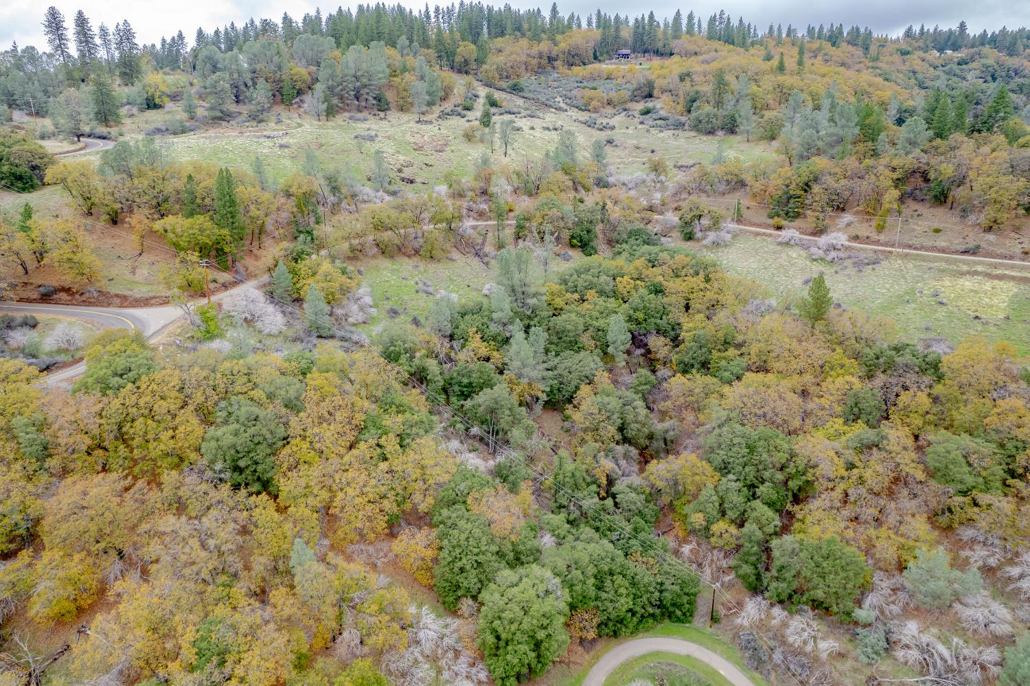 3841 Braden Road Camino, CA 95709 - Photo 15 of 44 a view of a forest with trees and wooden fence