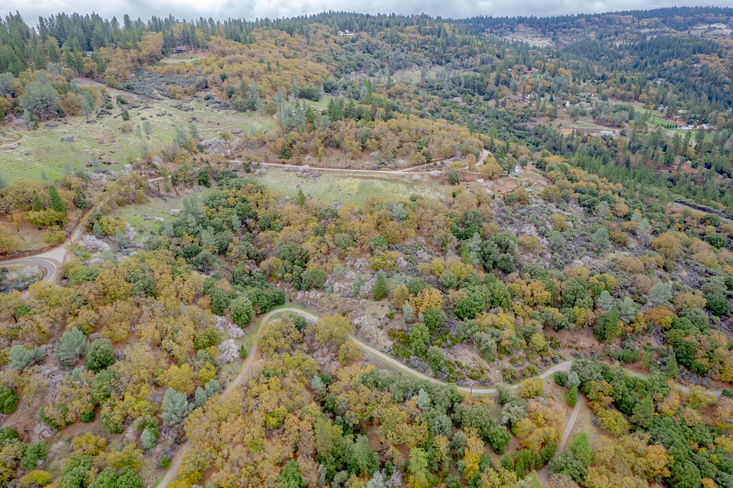 3841 Braden Road Camino, CA 95709 - Photo 26 of 44 an aerial view of forest