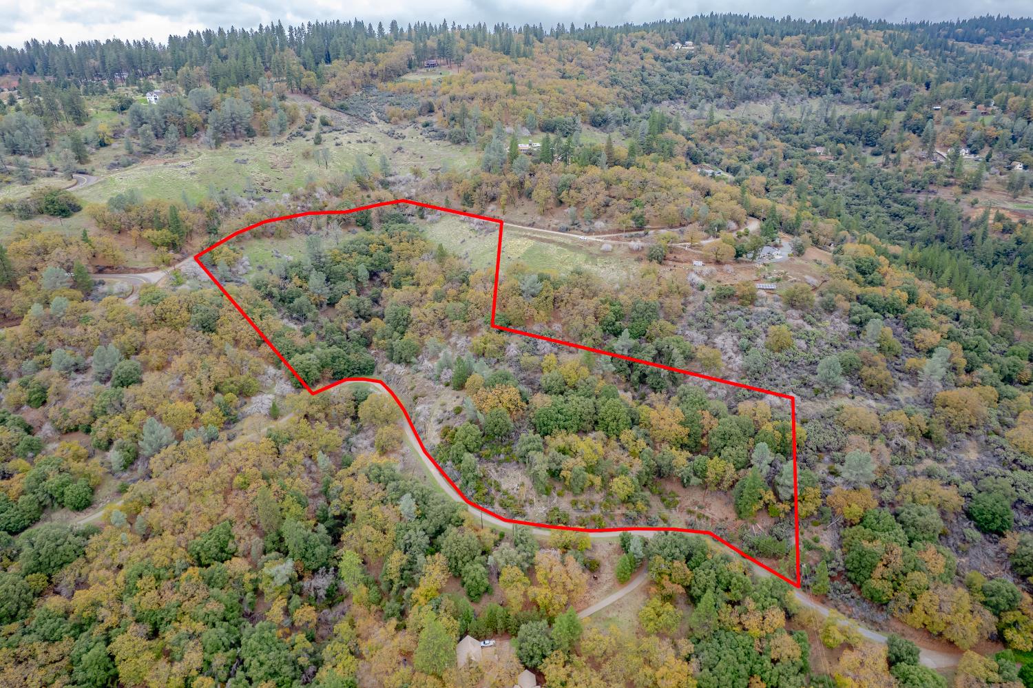 3841 Braden Road Camino, CA 95709 - Photo 27 of 44 a view of a houses with a lush green forest