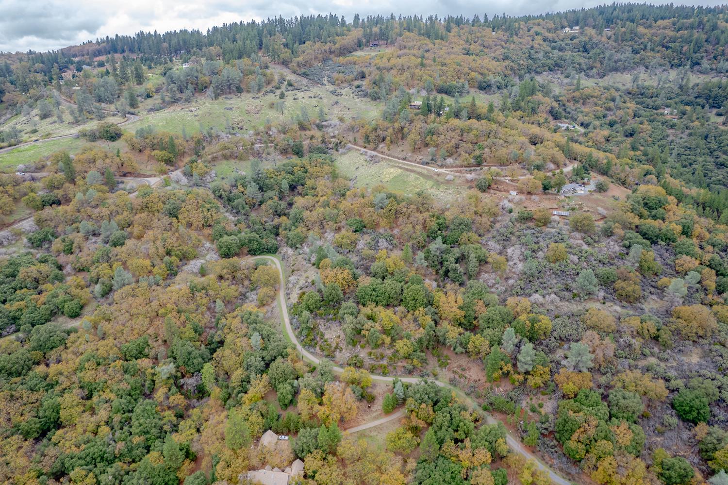 3841 Braden Road Camino, CA 95709 - Photo 29 of 44 a view of a forest with trees in the background