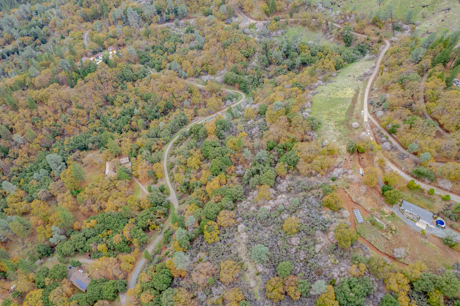 3841 Braden Road Camino, CA 95709 - Photo 32 of 44 a view of a yard