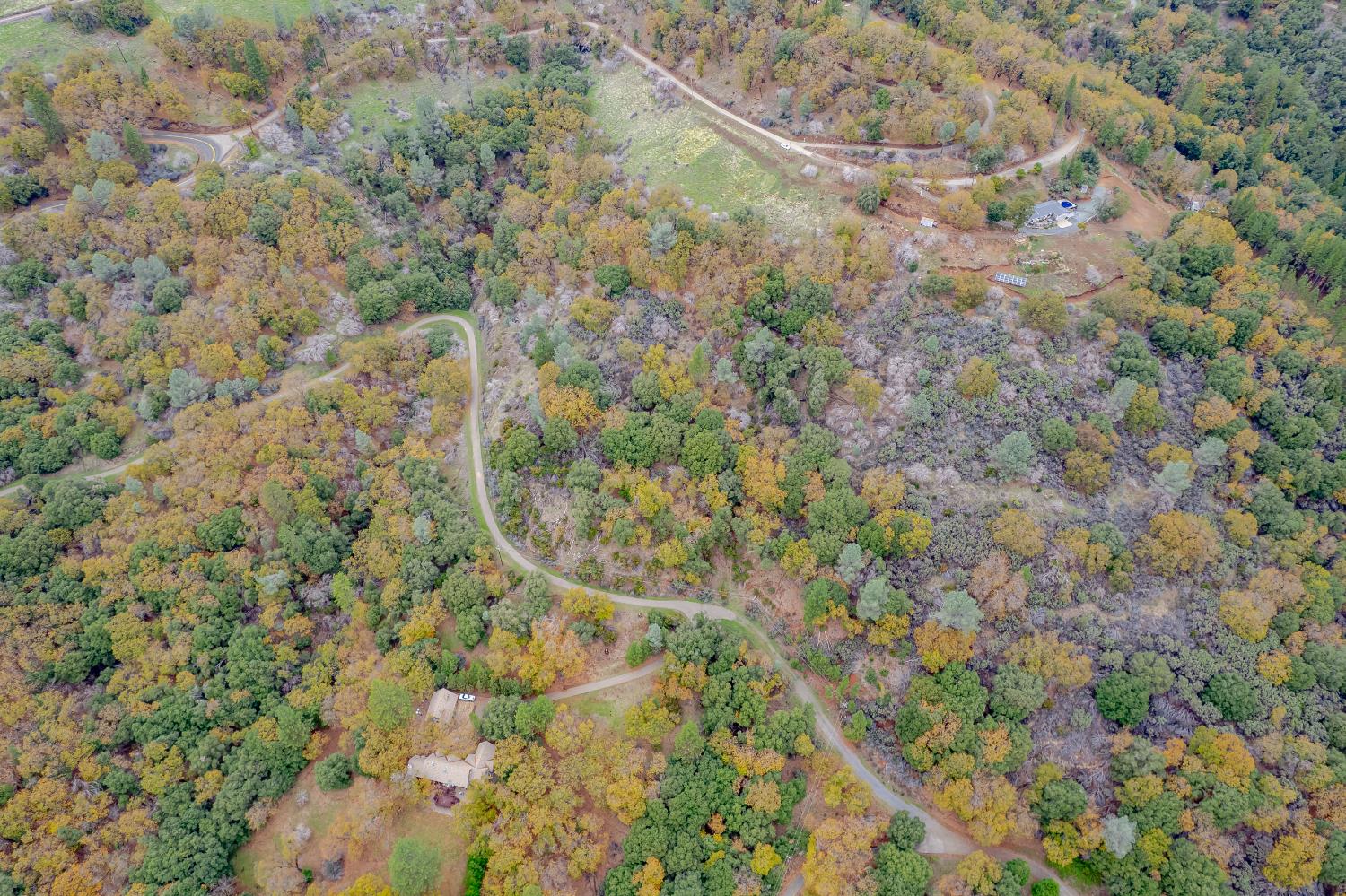 3841 Braden Road Camino, CA 95709 - Photo 34 of 44 a view of a yard with a tree