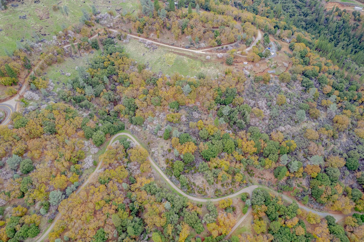 3841 Braden Road Camino, CA 95709 - Photo 36 of 44 a view of a yard with an outdoor space