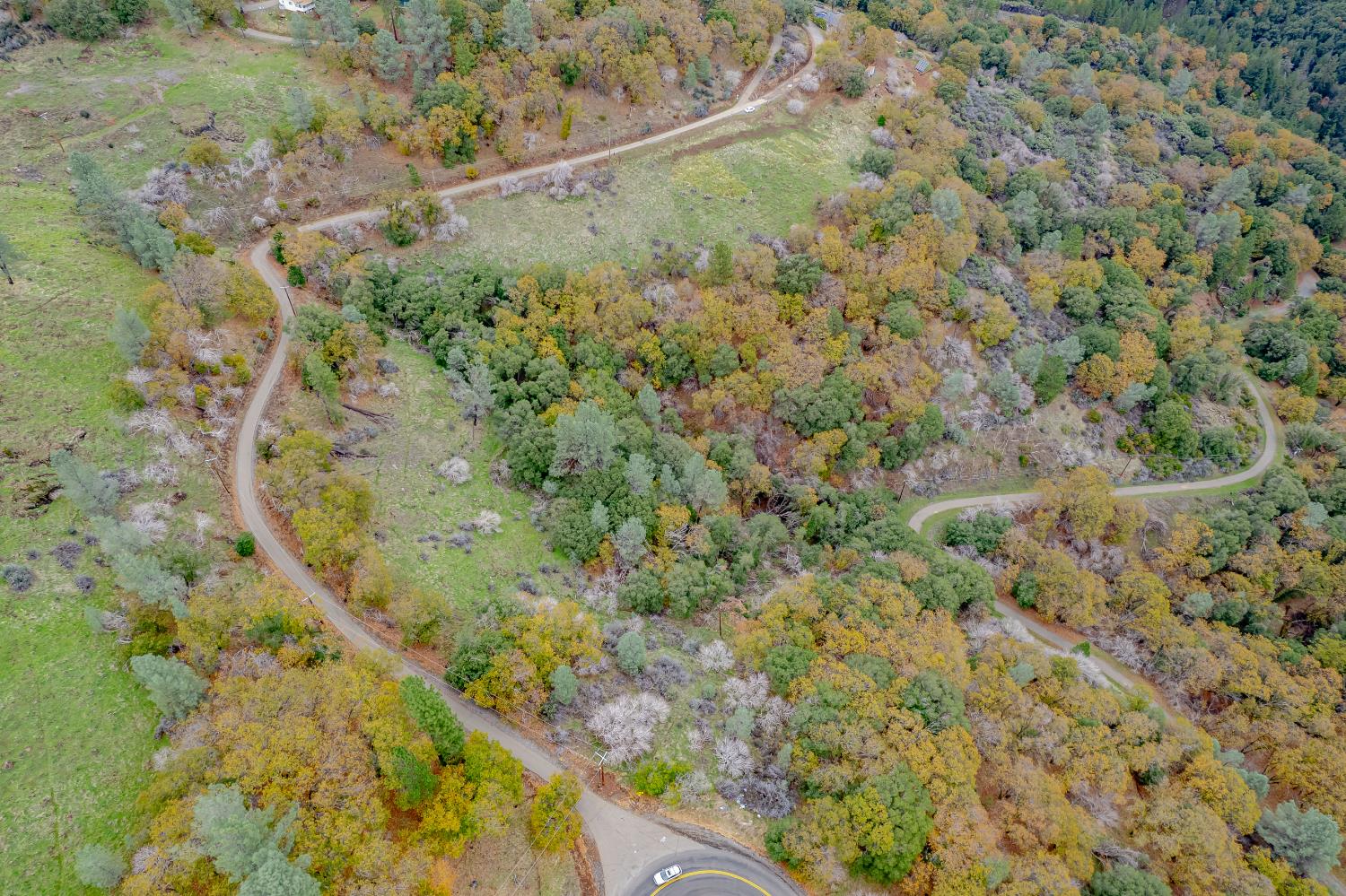 3841 Braden Road Camino, CA 95709 - Photo 37 of 44 a view of a yard with a tree
