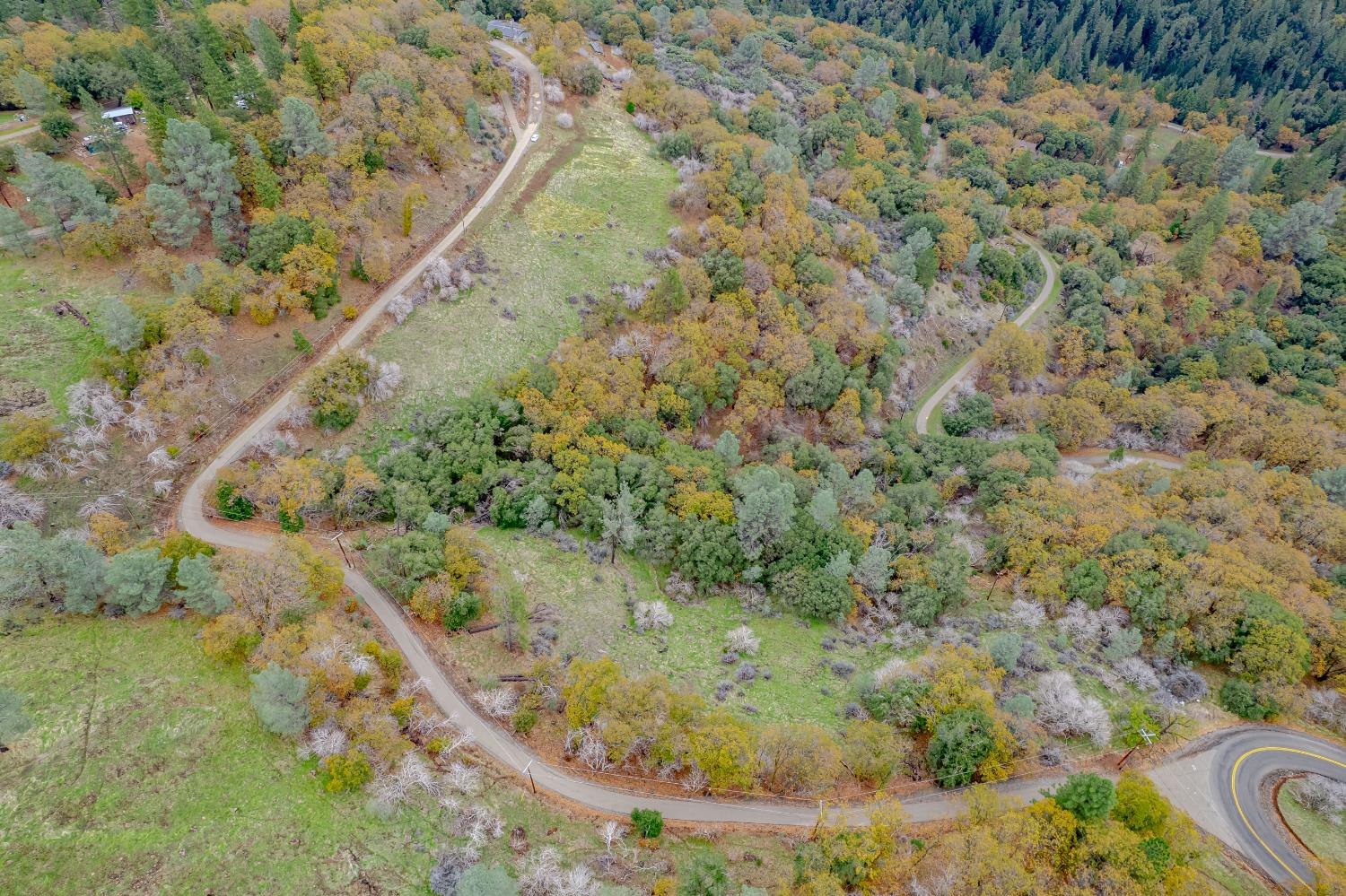 3841 Braden Road Camino, CA 95709 - Photo 38 of 44 a view of a yard with a tree