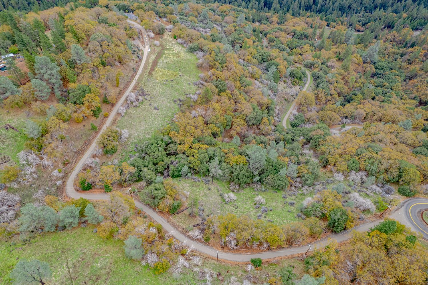 3841 Braden Road Camino, CA 95709 - Photo 39 of 44 a view of a yard with large trees
