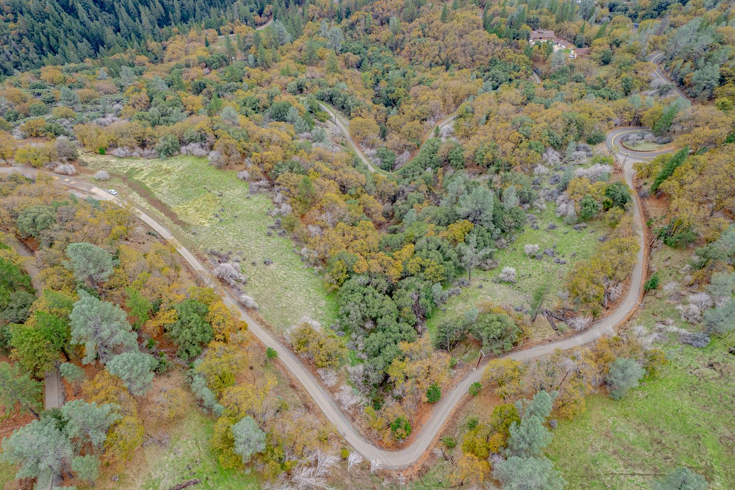 3841 Braden Road Camino, CA 95709 - Photo 40 of 44 a view of a forest with a forest