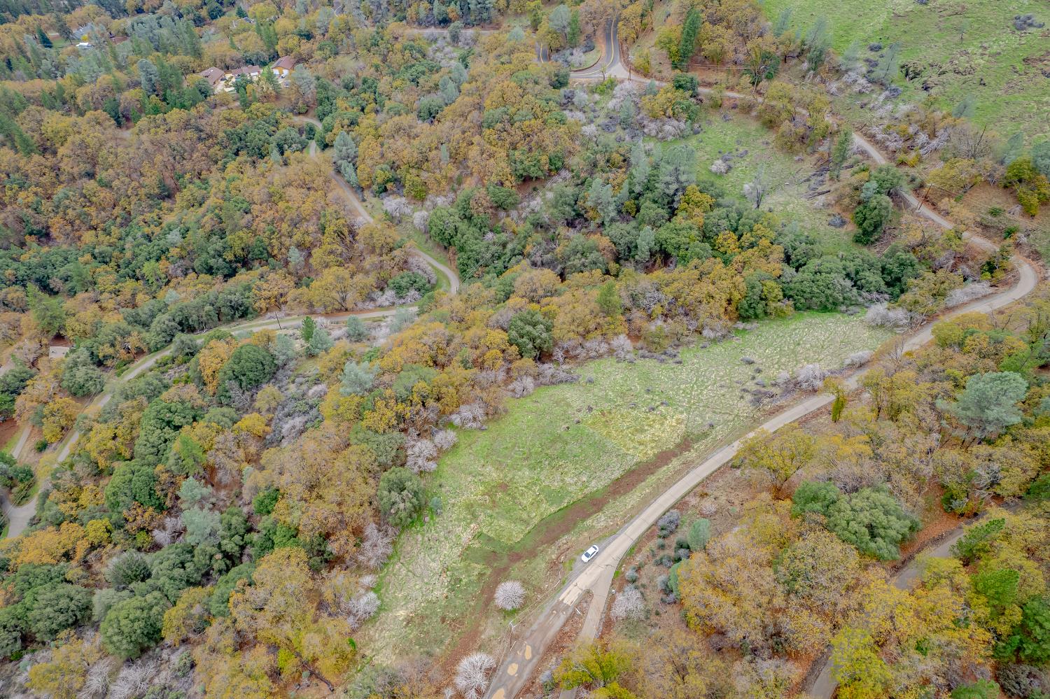 3841 Braden Road Camino, CA 95709 - Photo 42 of 44 a view of a forest with a forest