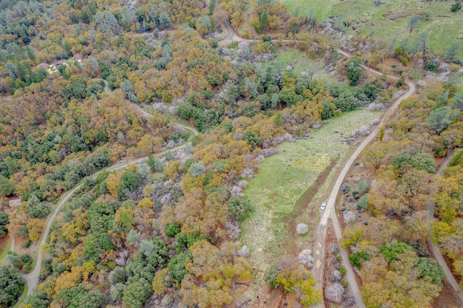 3841 Braden Road Camino, CA 95709 - Photo 43 of 44 a view of a yard with a lush green forest