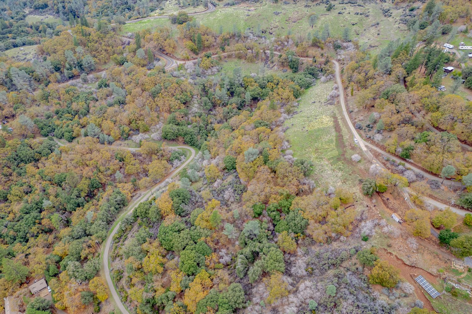 3841 Braden Road Camino, CA 95709 - Photo 44 of 44 a view of a yard with a lush green forest