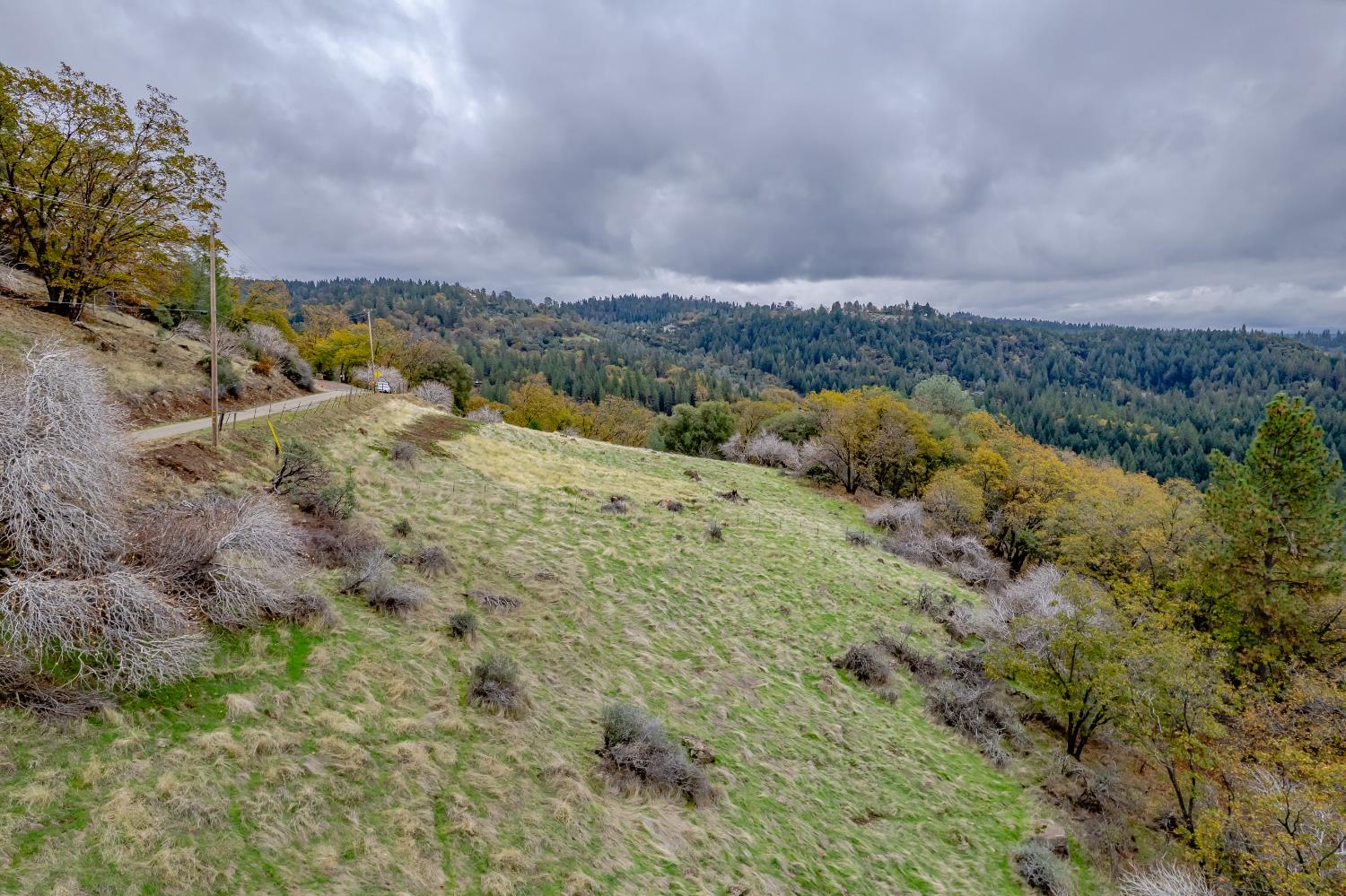 3841 Braden Road Camino, CA 95709 - Photo 6 of 44 a view of a dry yard with lots of trees
