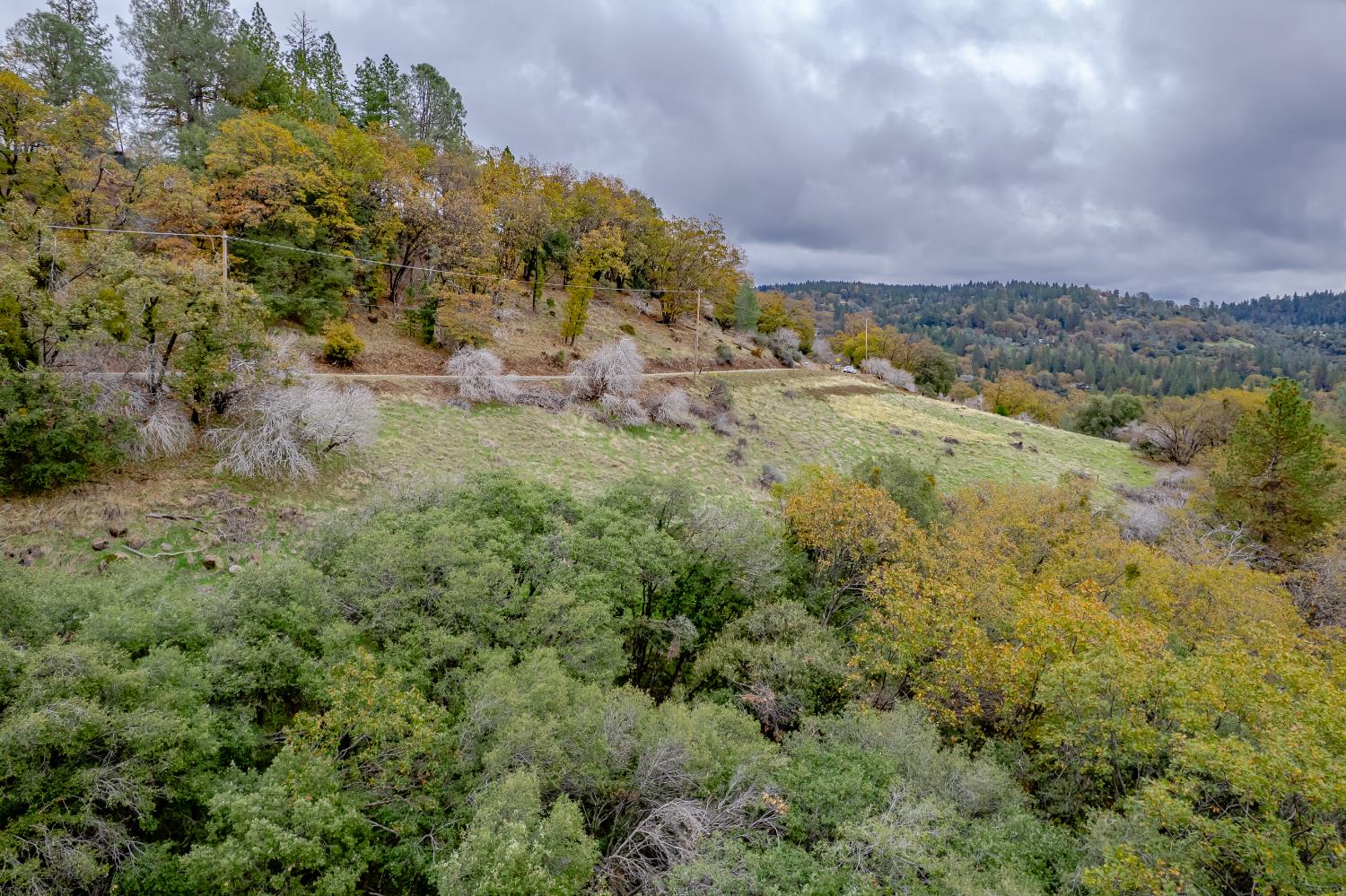 3841 Braden Road Camino, CA 95709 - Photo 7 of 44 a view of a field with a tree in it