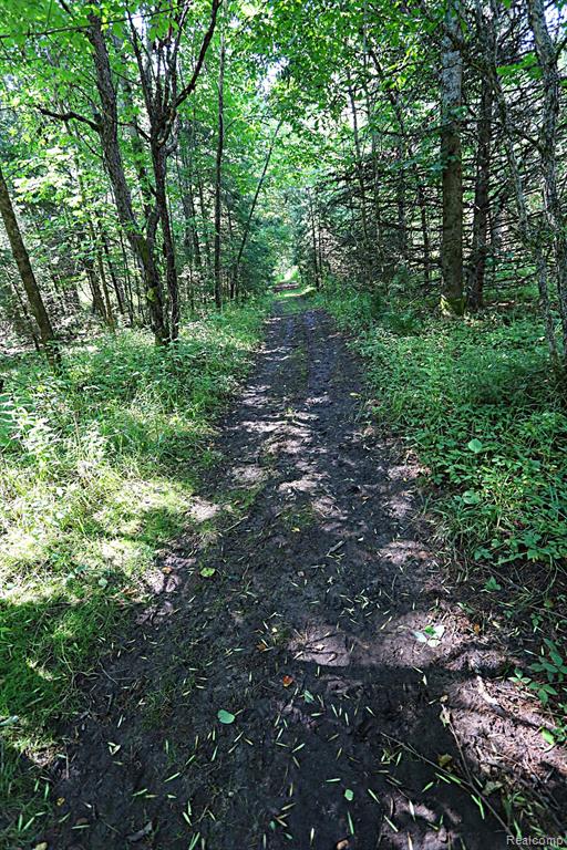 8331 Wissmiller Road South Branch, MI 48761 - Photo 50 of 59 Gallery Image 50