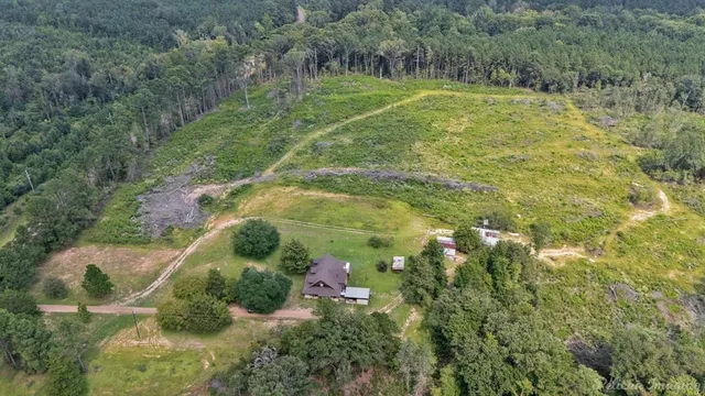 a view of a field with a tree