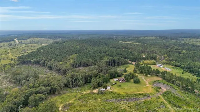 a view of a field with an ocean and trees