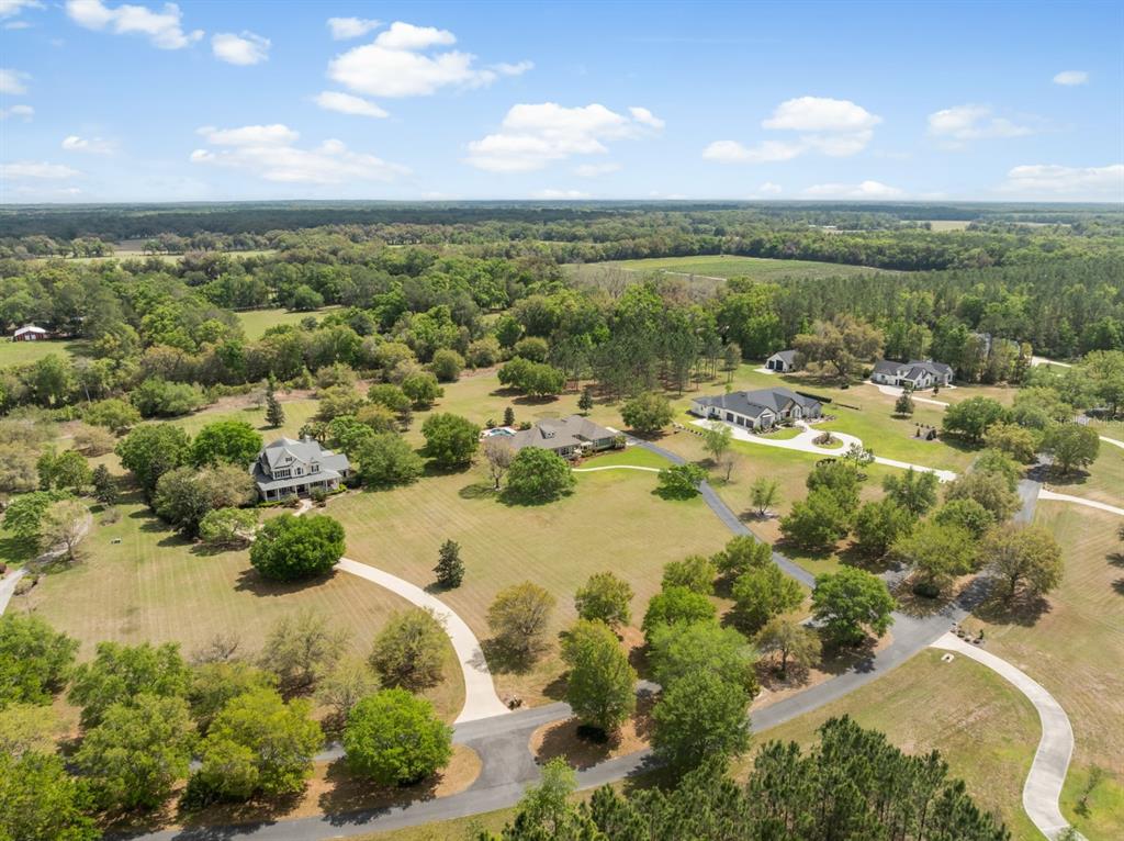 1751 Southwest 188th Street Newberry, FL 32669 - Photo 74 of 93 an aerial view of residential houses with outdoor space
