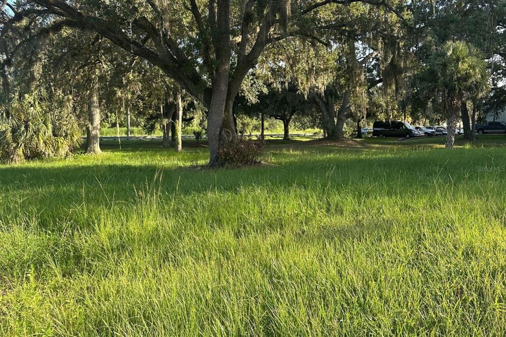 0 Butler Avenue Kissimmee, FL 34741 - Photo 1 of 7 a view of park with trees