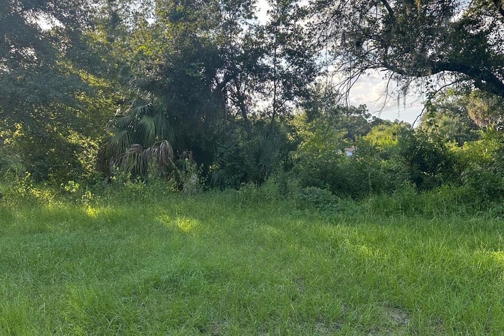 0 Butler Avenue Kissimmee, FL 34741 - Photo 5 of 7 a view of a lush green space