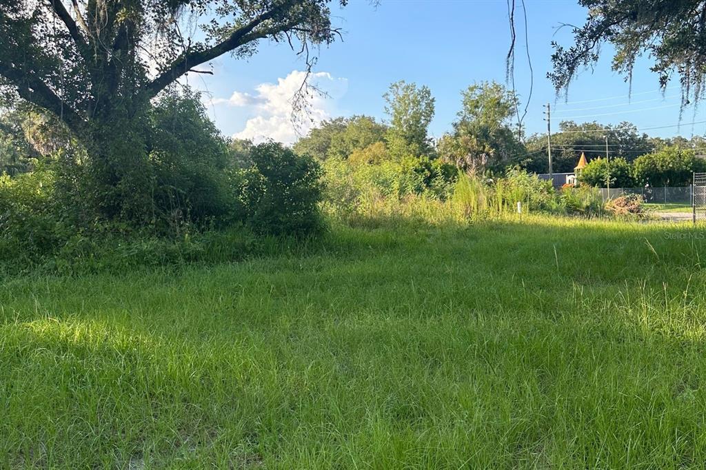 0 Butler Avenue Kissimmee, FL 34741 - Photo 6 of 7 a view of a garden