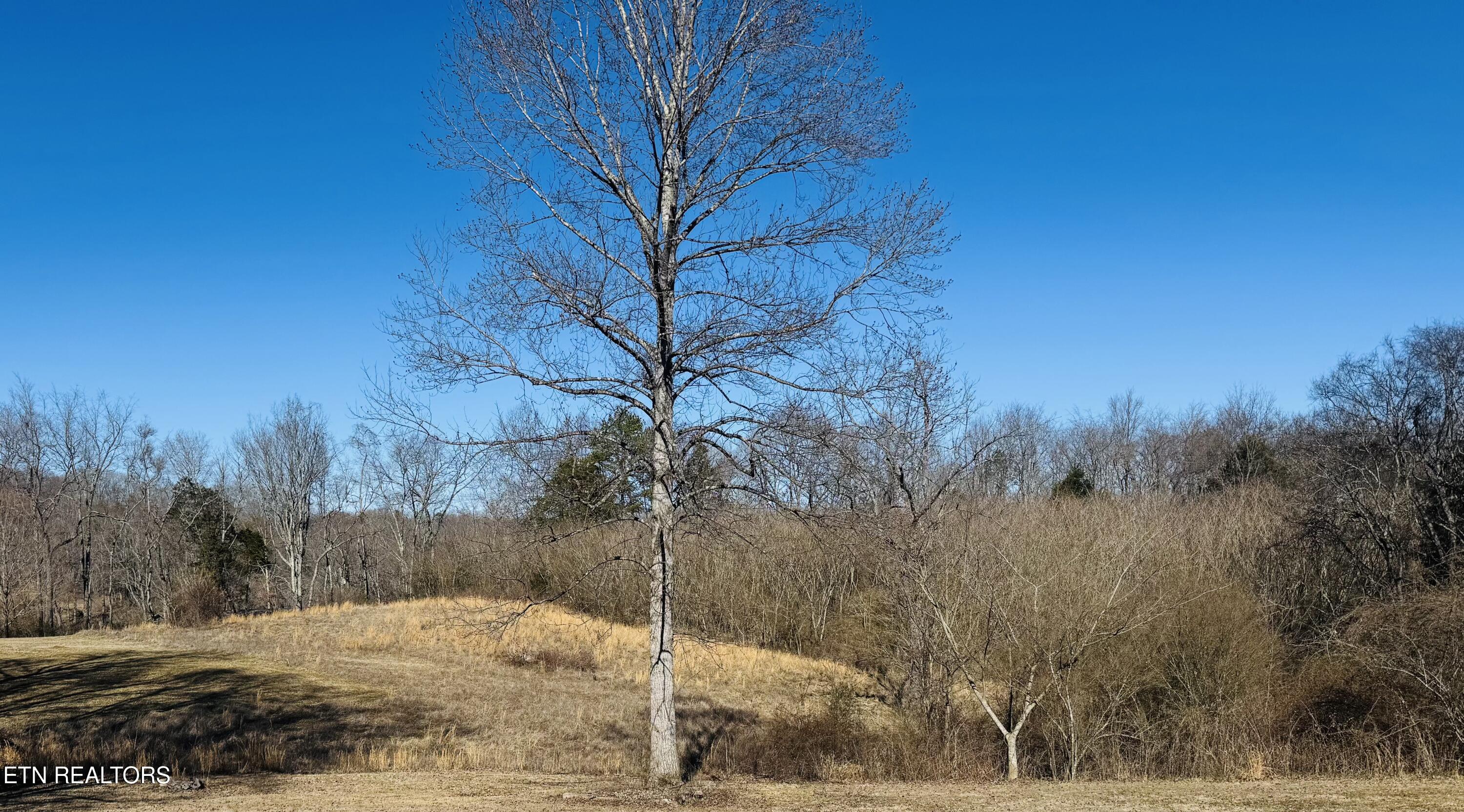 409 Carroll Hollow Road Clinton, TN 37716 - Photo 1 of 5 FullSizeRender