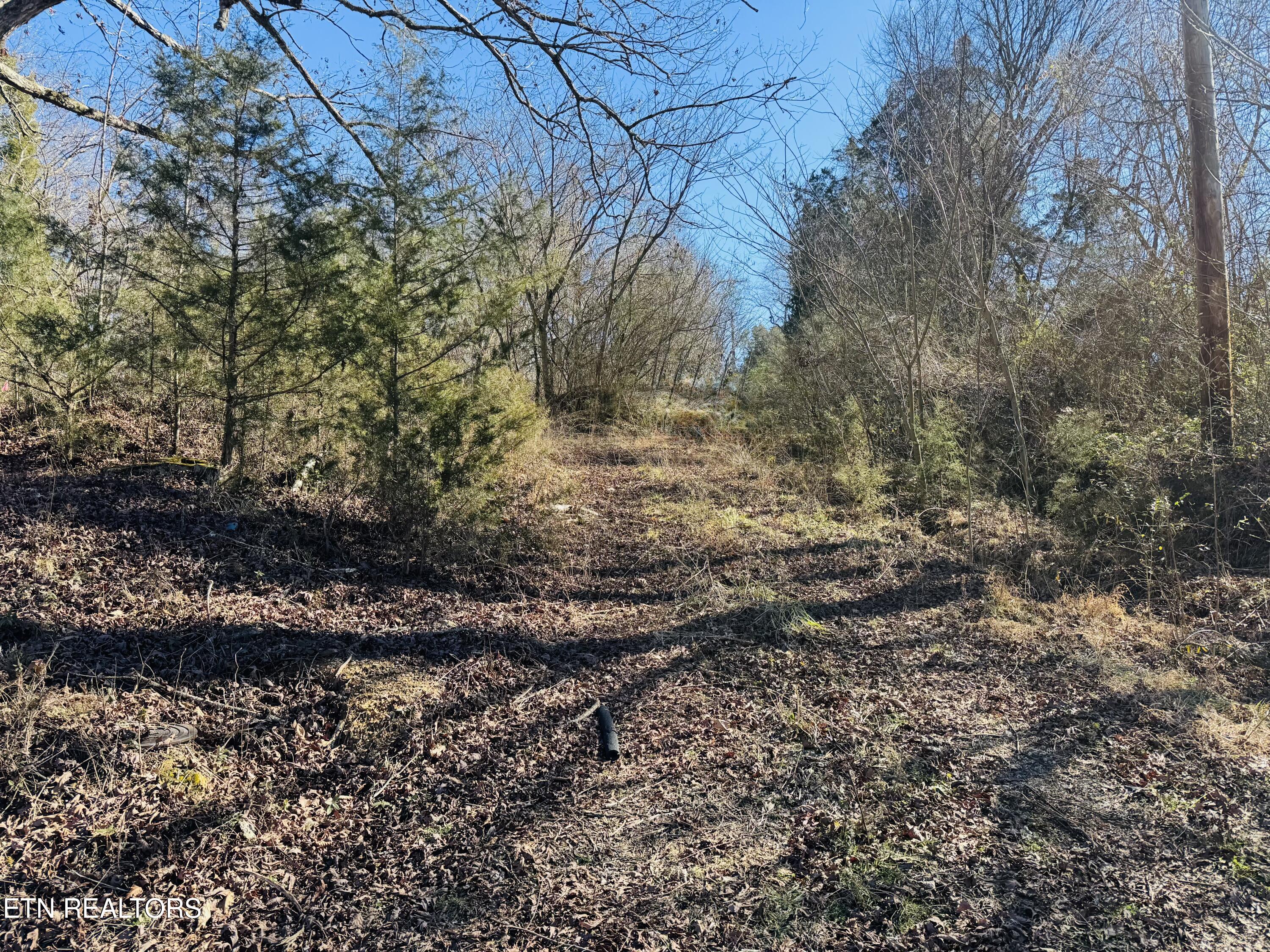 409 Carroll Hollow Road Clinton, TN 37716 - Photo 4 of 5 IMG_4012