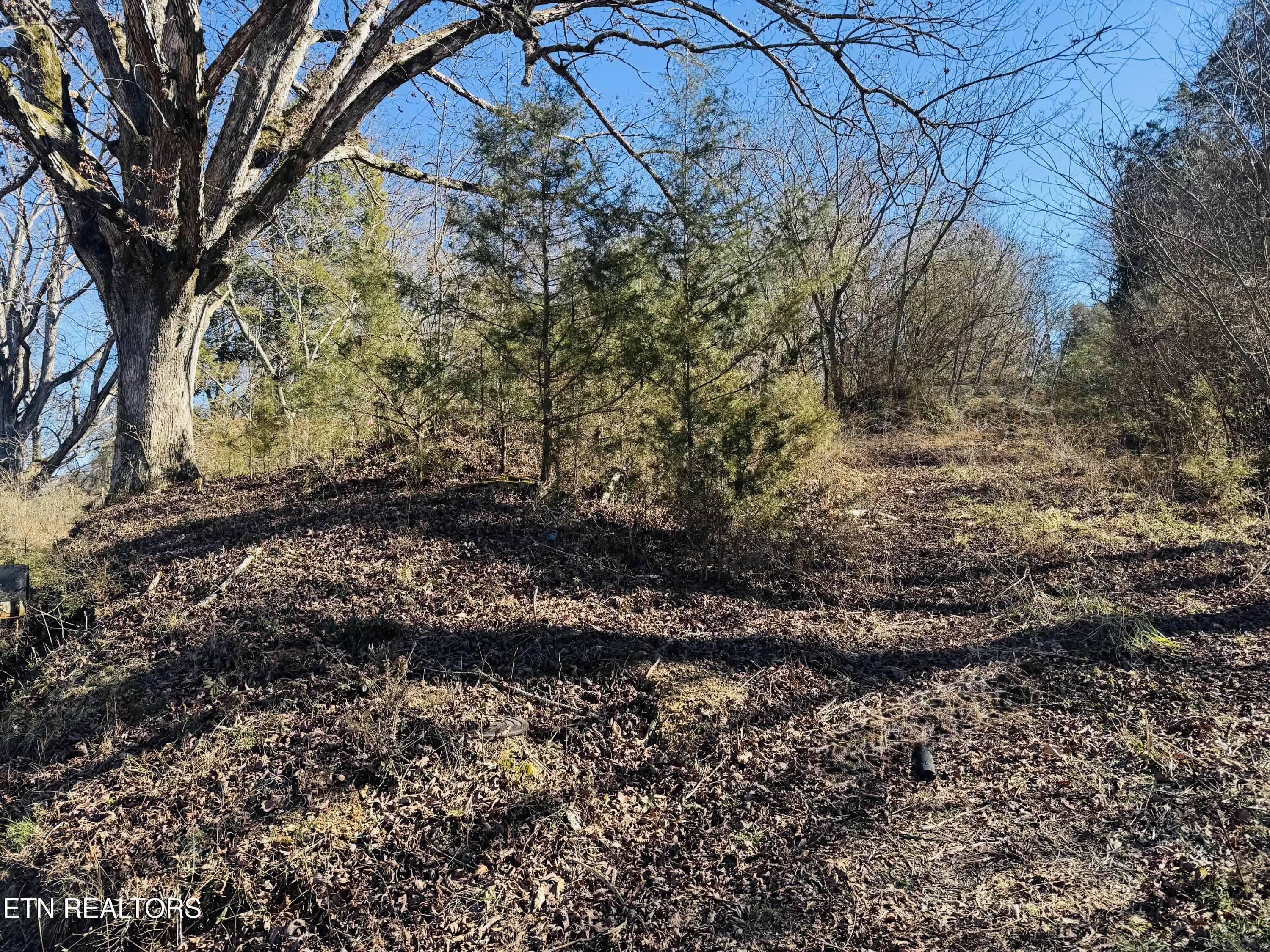 409 Carroll Hollow Road Clinton, TN 37716 - Photo 5 of 5 IMG_4013